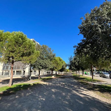 Apartamento De Diseno Con Gym Y Piscina 卡斯特利翁-德拉普拉纳 外观 照片